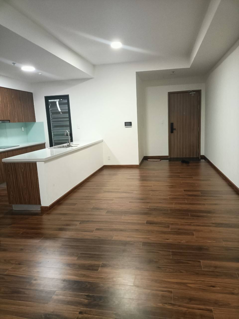 Hình ảnh thực tế căn hộ chung cư tại Akari City Giai đoạn 1, Akari City