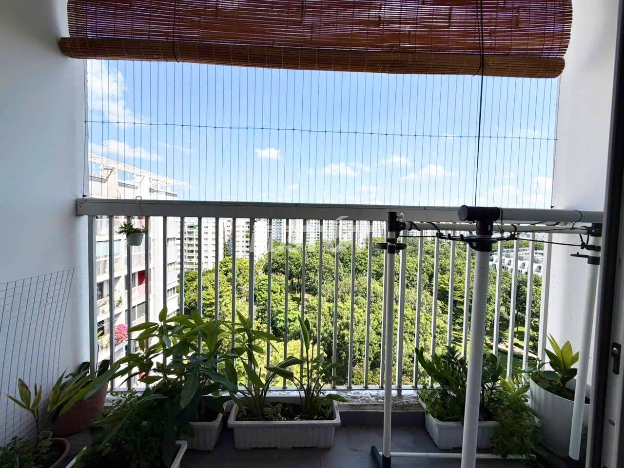 Hình ảnh thực tế Celadon City - Ảnh đánh giá của Liên Hoa
