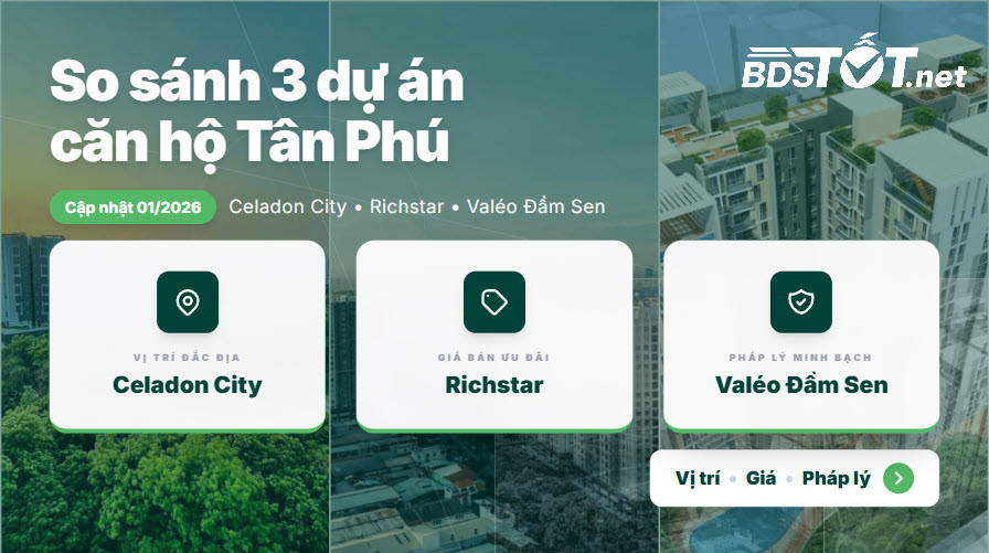 Ảnh bài viết liên quan
