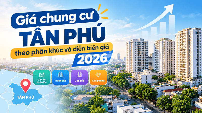 Ảnh bài viết liên quan