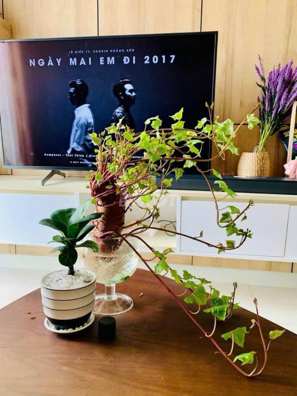 Hình ảnh thực tế căn hộ chung cư 2 phòng ngủ, 71m2, nội thất đầy đủ cho thuê tại Chung Cư Emerald, Celadon City