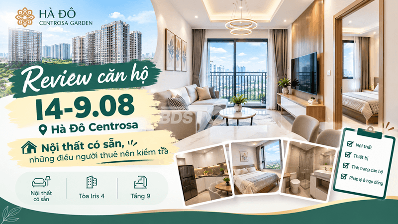 Ảnh bài viết liên quan