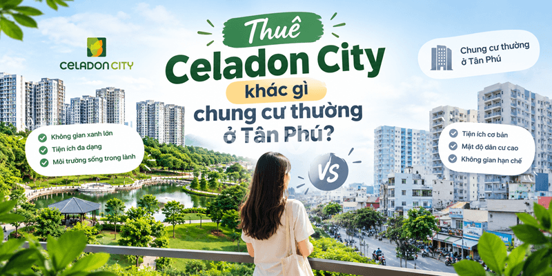 Ảnh bài viết liên quan