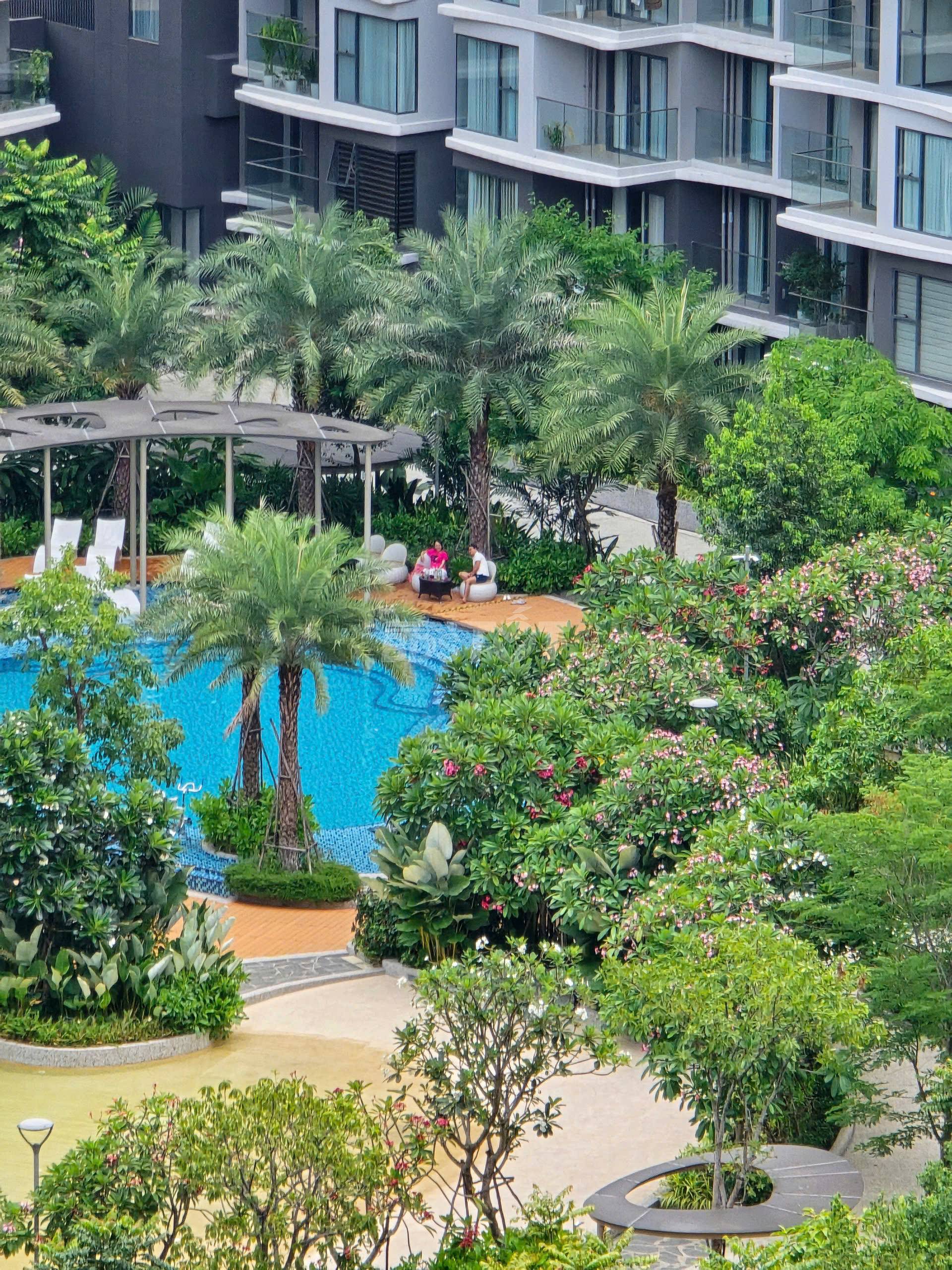 View hồ bơi nội khu tại Diamond Alnata, Celadon City
